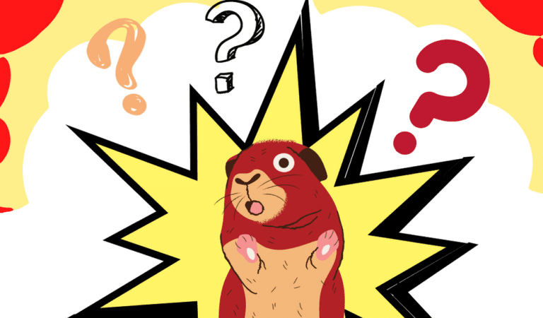 True or False?: [WORLD] Test your general knowledge (not so simple!)