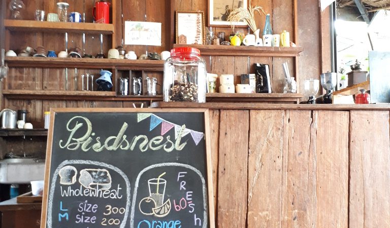 Elevate Your Dining Experience: Discovering Bird’s Nest Cafe, Chiang Mai’s Avian Retreat