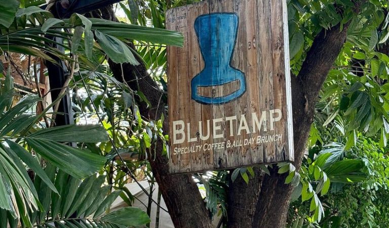 Bluetamp Cafe: Where Every Cup is a Work of Art