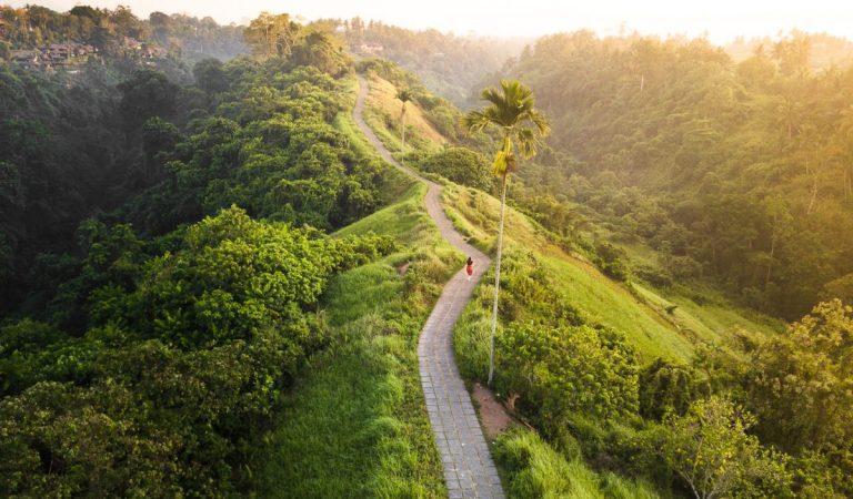Nature’s Tranquil Trail: Campuhan Ridge Walk, Bali