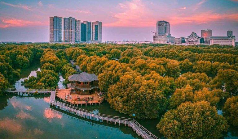 Nature’s Retreat: Exploring Angke Kapuk Nature Tourism Park in Jakarta